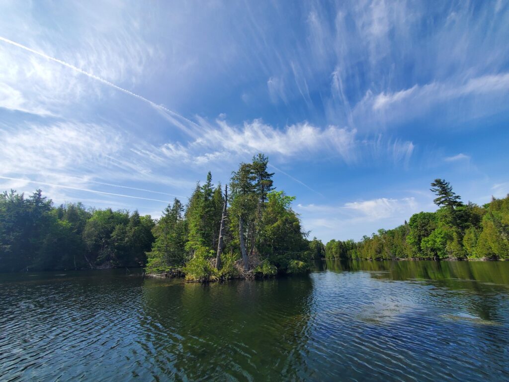 Long Island Nature Reserve